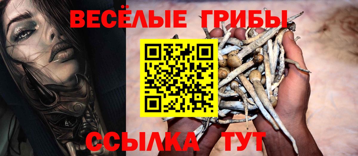 Псилоцибиновые грибы MAGIC MUSHROOMS  Вход с VPN  Среднеуральск 